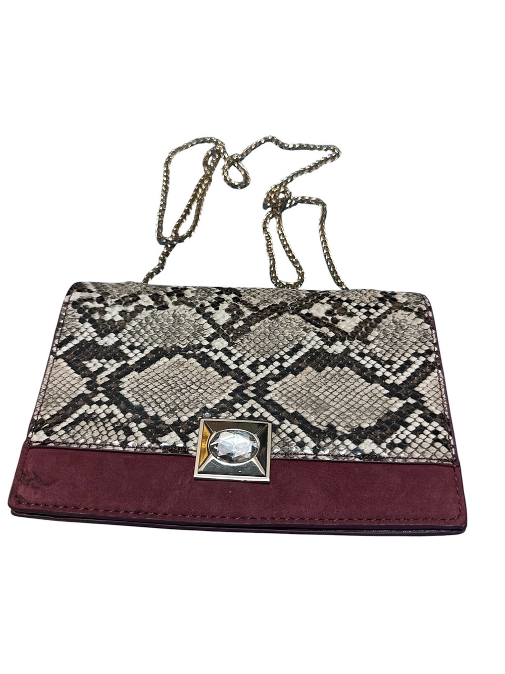 Zara Snake-Print Crossbody with Wine Trim and Gold Chain